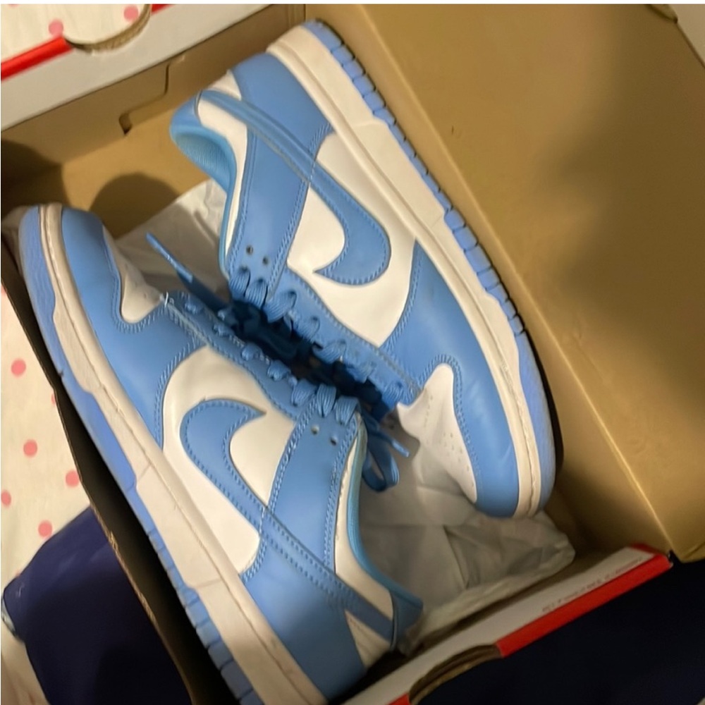 Men nike dunks